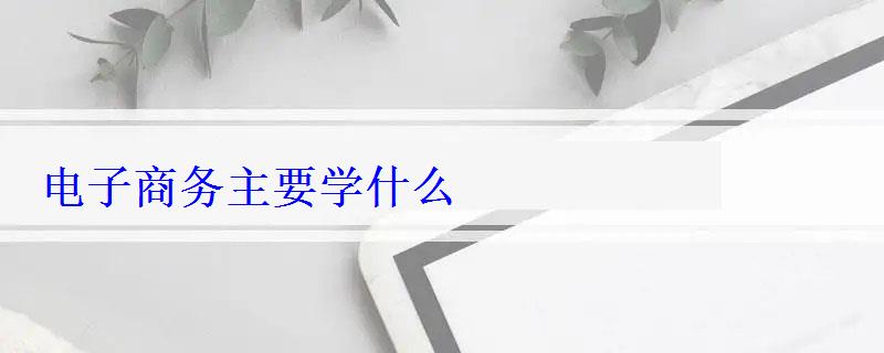 電子商務主要學什么 電子商務主要學什么