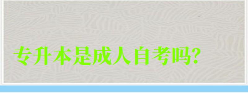 專升本是成人自考嗎? 專升本是成人自考嗎? (圖1)