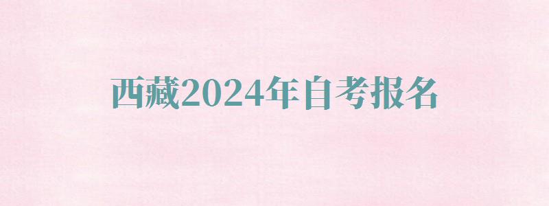 西藏2024年自考報(bào)名 西藏2024年自考報(bào)名