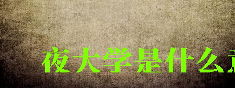夜大學(xué)是什么意思 夜大學(xué)是什么意思 (圖1)