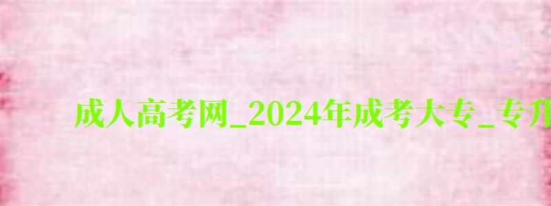 成人高考網(wǎng)_2024年成考大專_專升本報名招生平臺 成人高考網(wǎng)_2024年成考大專_專升本報名招生平臺(圖1)