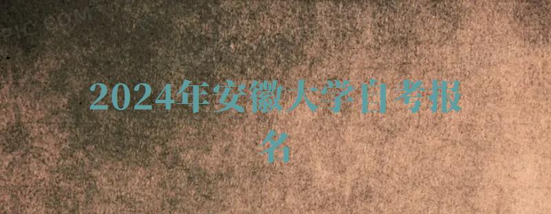 2024年安徽大學(xué)自考報(bào)名 2024年安徽大學(xué)自考報(bào)名