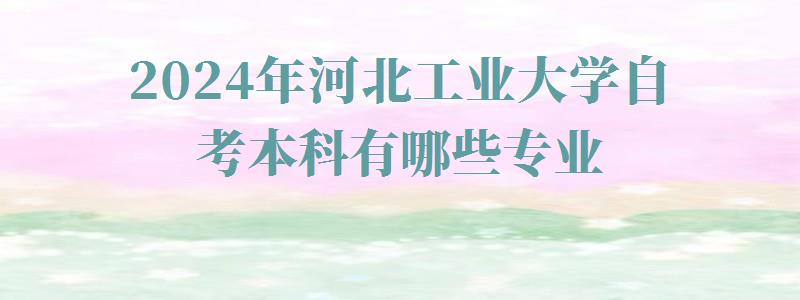 2024年河北工業(yè)大學自考本科有哪些專業(yè) 2024年河北工業(yè)大學自考本科有哪些專業(yè)