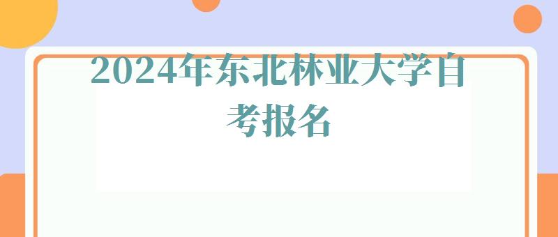 2024年東北林業大學自考報名 2024年東北林業大學自考報名