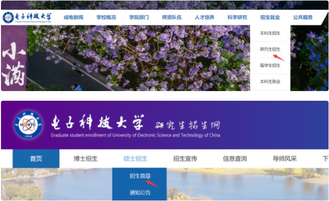 電子科技大學考研招生簡章查看方式