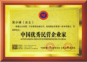 中國優秀民營企業家